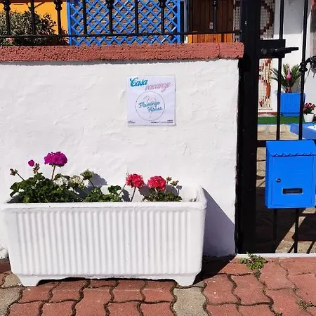 Casa Flamingo House Villa San Teodoro  Exterior photo