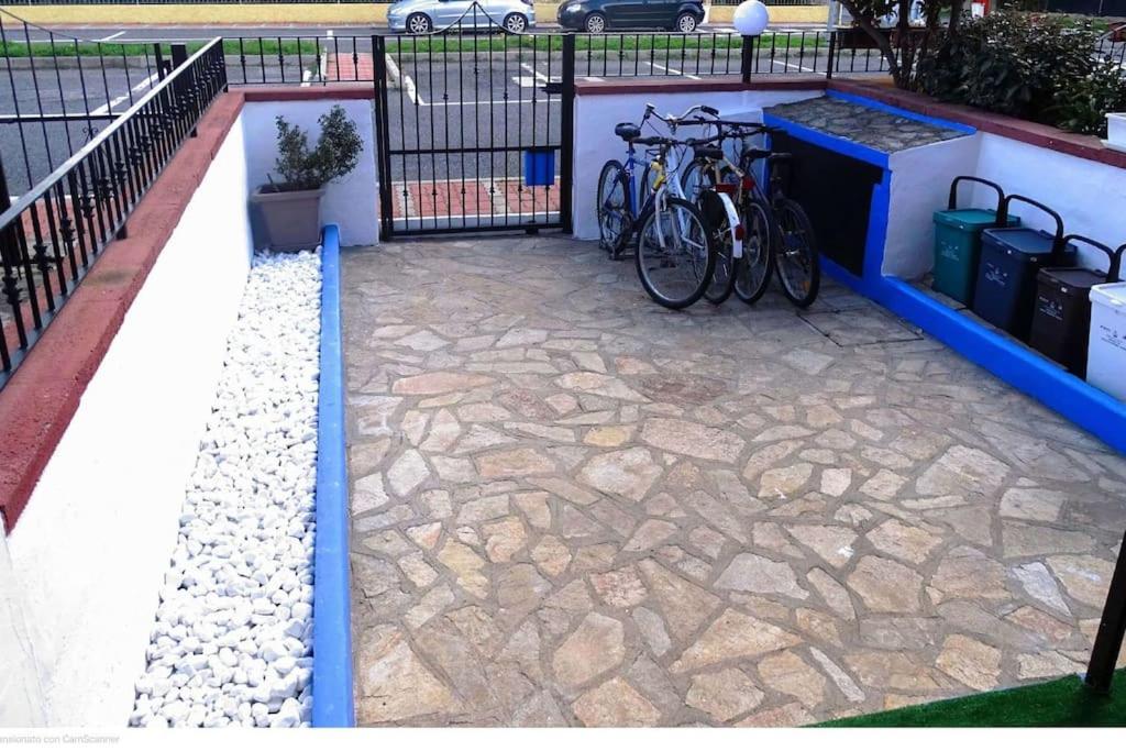 Casa Flamingo House