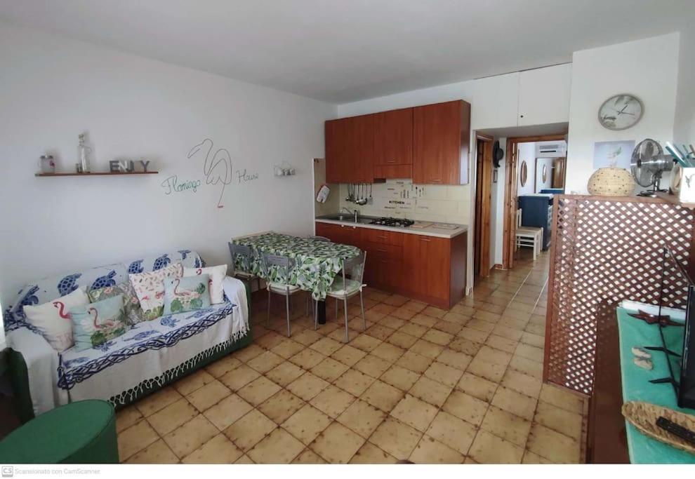 Casa Flamingo House *
