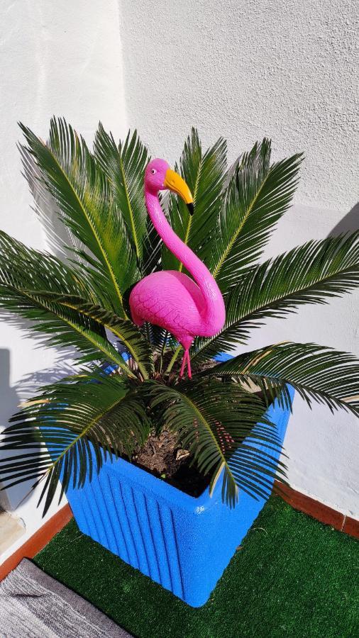 Casa Flamingo House Holiday home