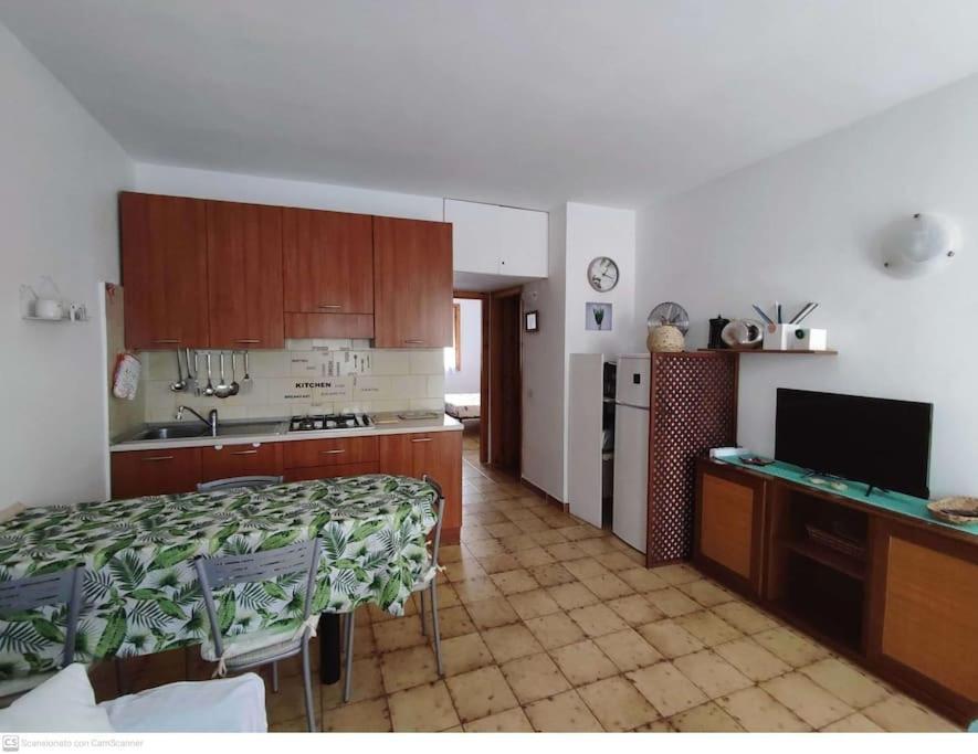 Casa Flamingo House * San Teodoro (Sardinia)