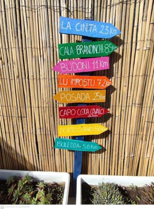 Holiday home Casa Flamingo House San Teodoro (Sardinia)