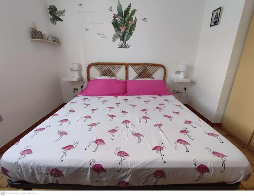 Casa Flamingo House * San Teodoro (Sardinia)